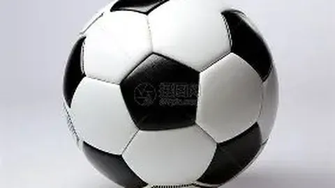 季后赛12强席位已决！京辽领跑进前四，广东四连胜完美收官