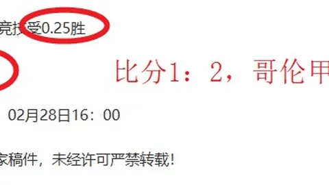 “穗港澳足球盛事热烈开启”